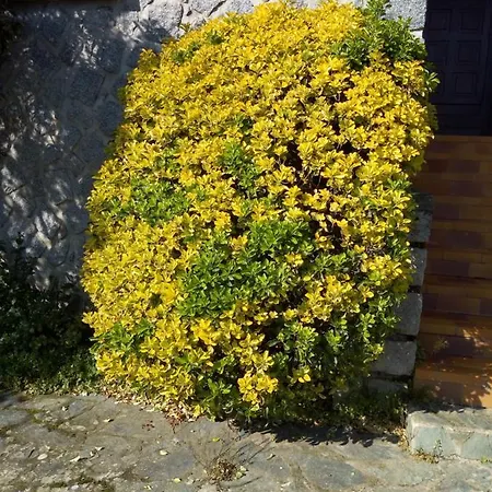 Apartment Maison En Pierre De Taille *