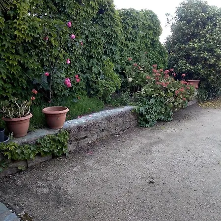 Maison En Pierre De Taille Apartamento Petreto-Bicchisano